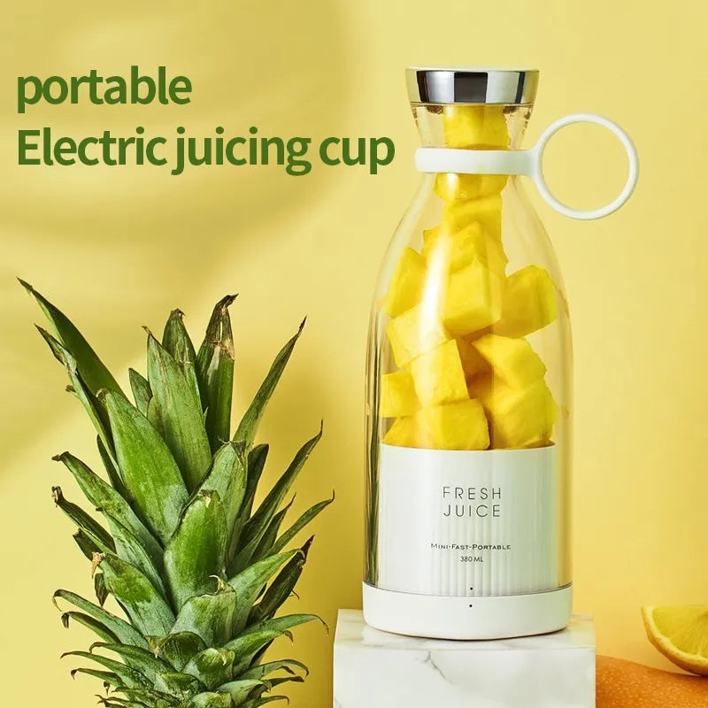 Portable Mini Juicer