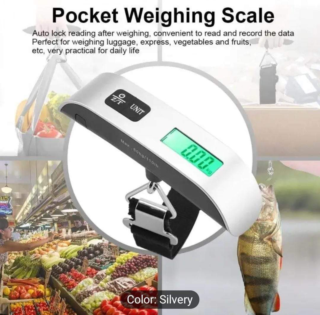 Travel Companion Scale