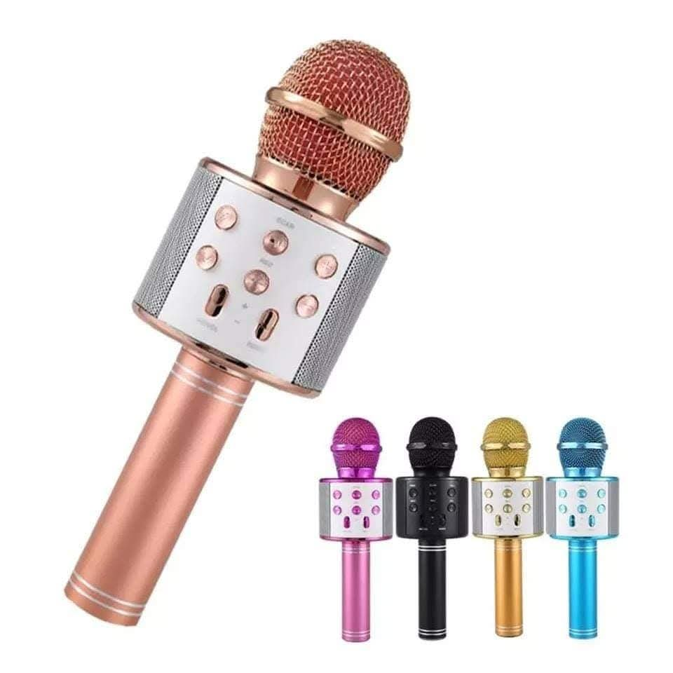 Microphone/Speaker Handheld Mic