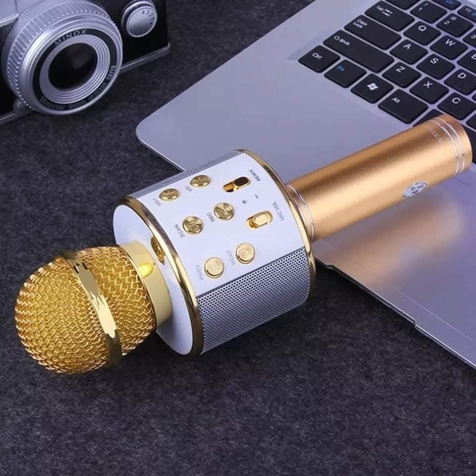 Microphone/Speaker Handheld Mic