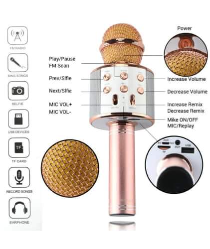 Microphone/Speaker Handheld Mic