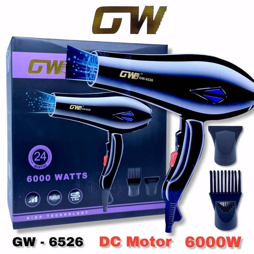 Professional Hair Dryer 6000 Watts