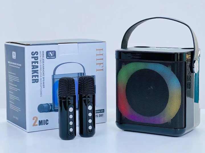 YS-307 Mini Karaoke Bluetooth Speaker