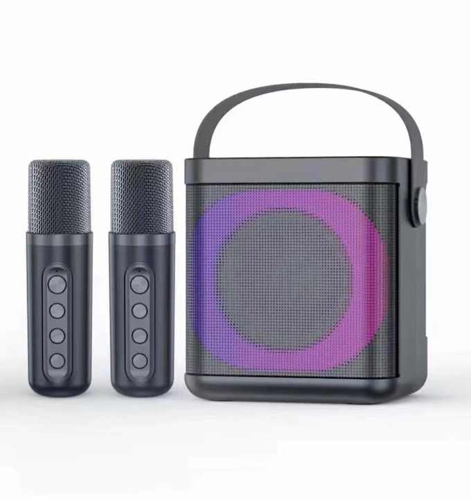 YS-307 Mini Karaoke Bluetooth Speaker