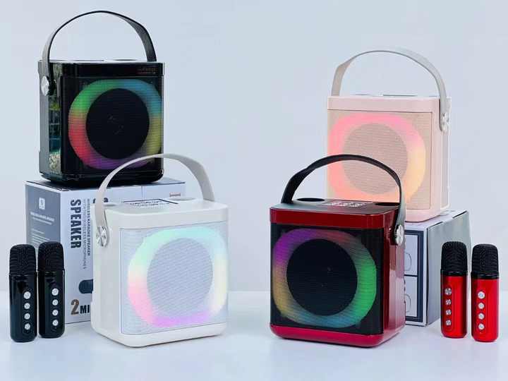 YS-307 Mini Karaoke Bluetooth Speaker