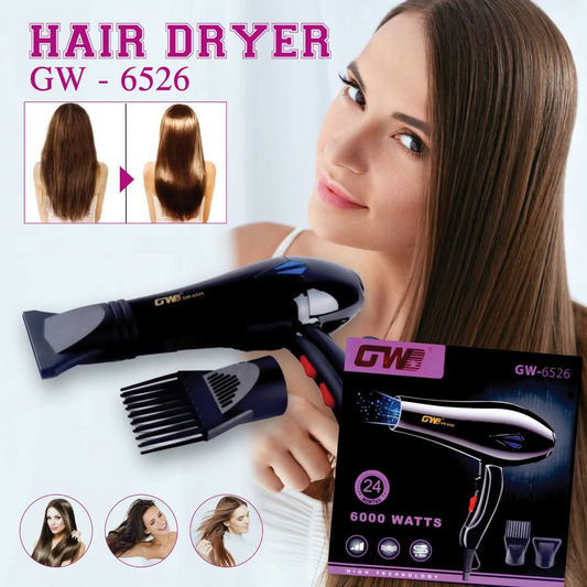 Professional Hair Dryer 6000 Watts