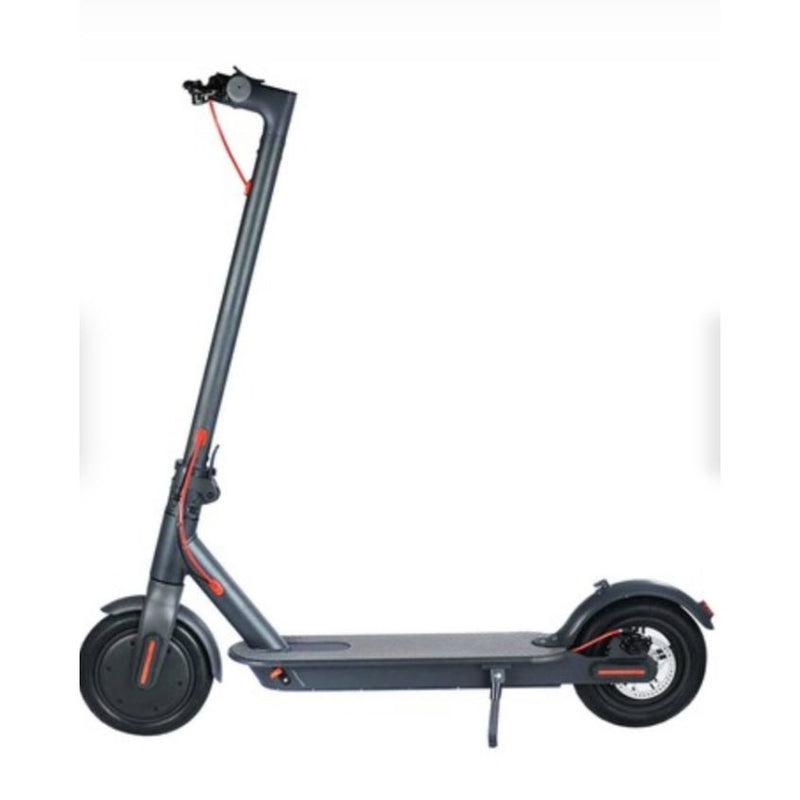 Electric Scooter Pro