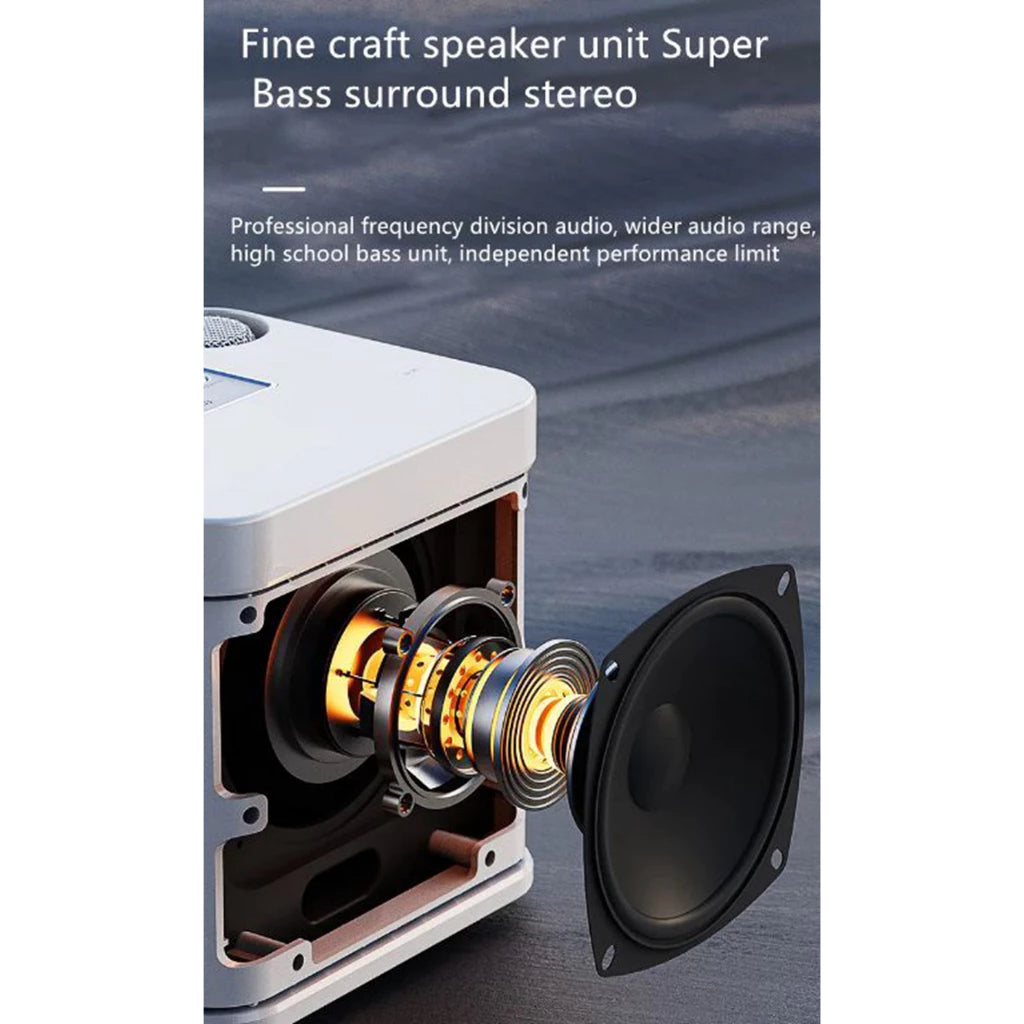 YS-307 Mini Karaoke Bluetooth Speaker