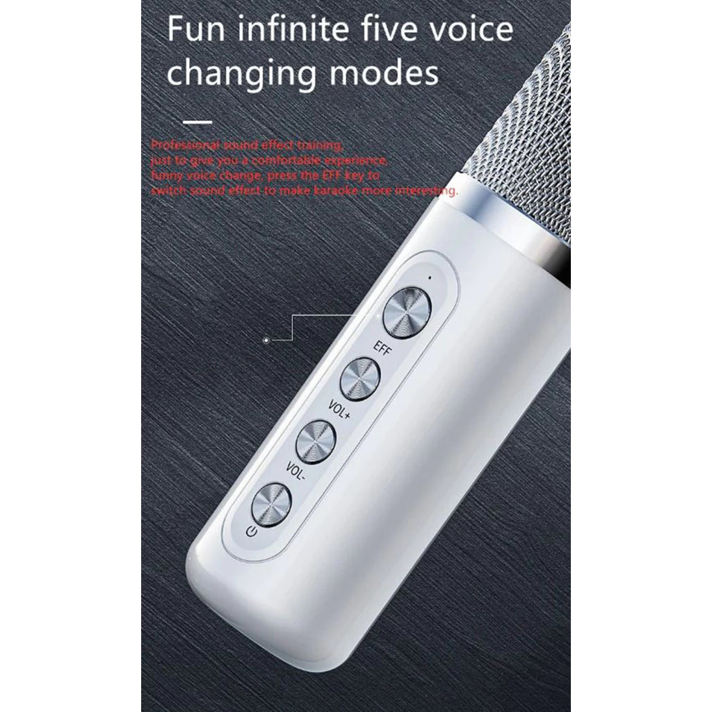 YS-307 Mini Karaoke Bluetooth Speaker