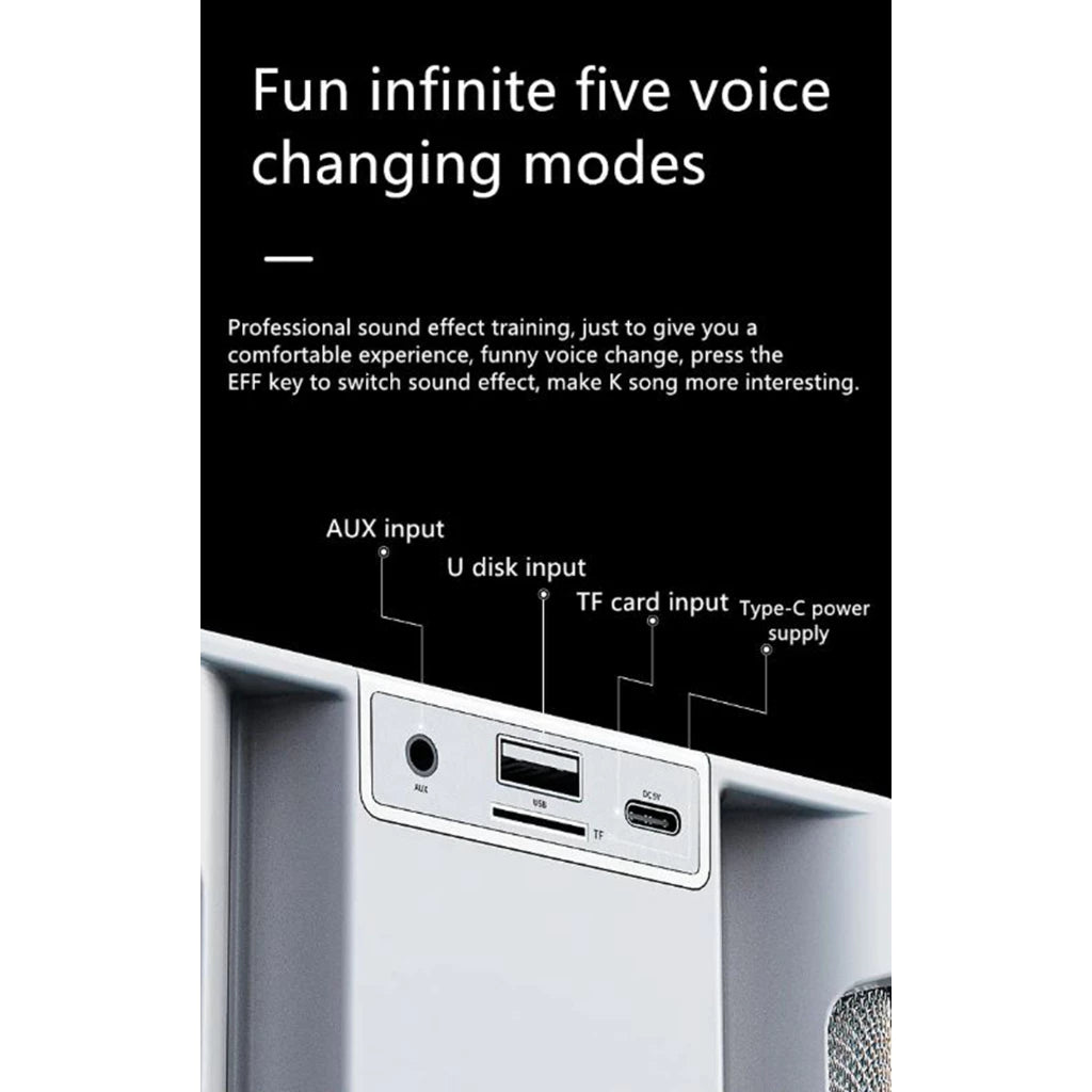 YS-307 Mini Karaoke Bluetooth Speaker