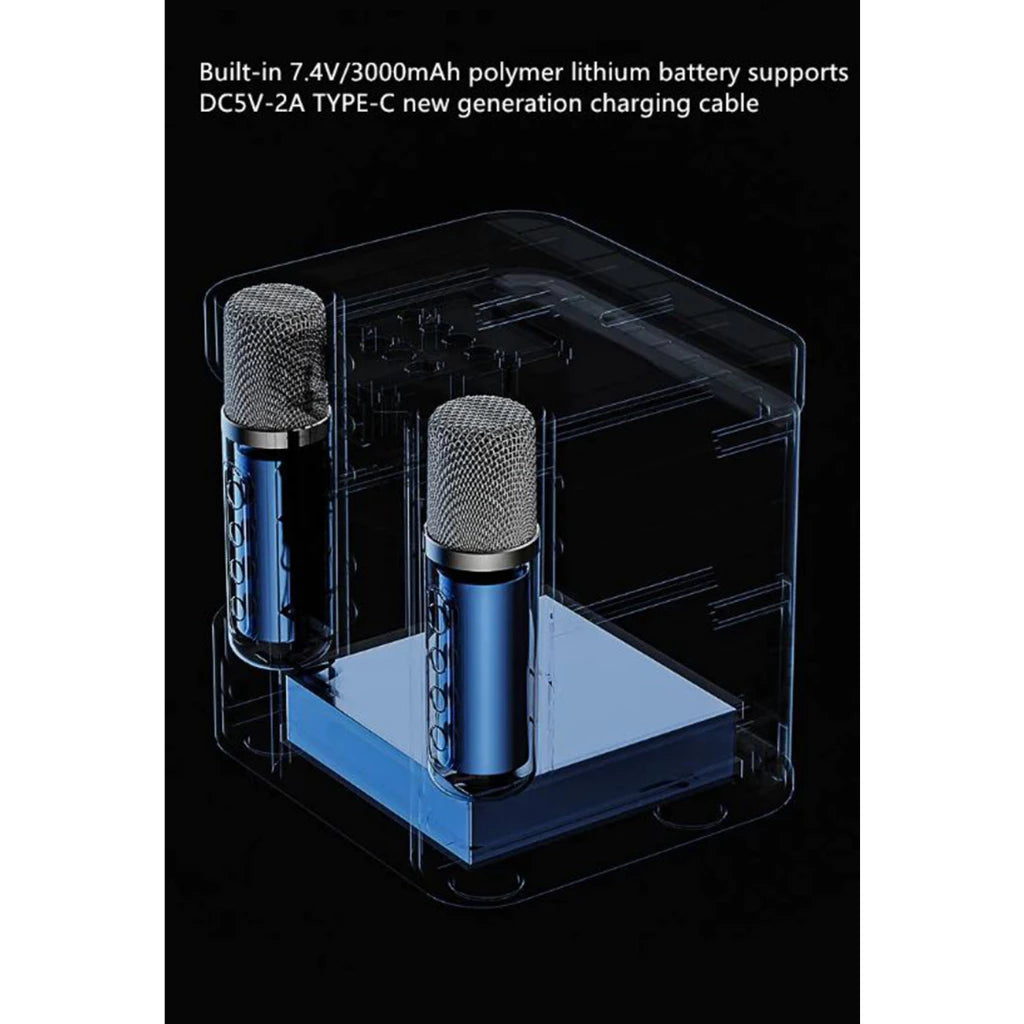 YS-307 Mini Karaoke Bluetooth Speaker