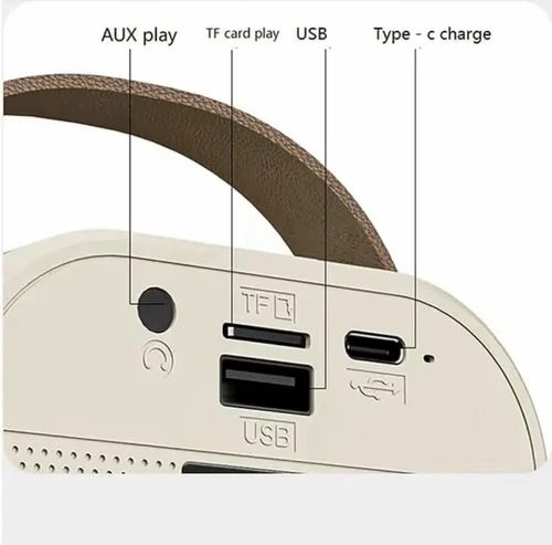 K12 Speaker with Two Microphone